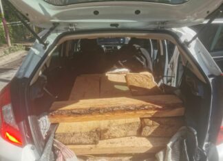 Asegura SSP madera aparentemente ilegal, en Zitácuaro