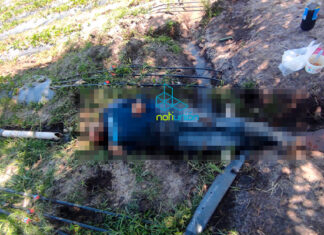 Acribillan con armas largas a campesino de 26 años en su parcela de fresa