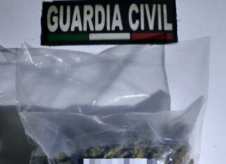 SSP detiene a masculino en posesión de casi medio kilo de marihuana, en Zamora