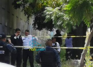 Localizan el cuerpo sin vida de un joven colgado de un árbol en libramiento de Morelia