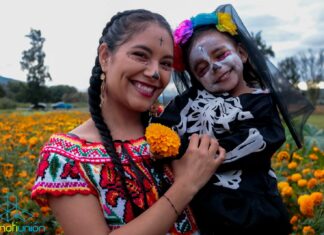 Casi listos los campos de flor de cempasúchil en Tarimbaro para que acudas a tomarte la fotografía de recuerdo