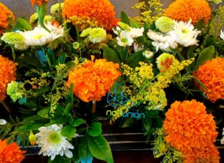 Del 21 al 23 de octubre pordrás disfurtar del Festival de las Almas y las Flores en Copándaro, habrá concierto y cempasúchil y mezcal