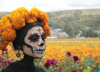Productores de cempasúchil en El Colegio alistan fiesta con música en vivo, pulque, mezcal y comida tradicional para todo el turismo