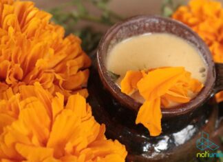 De Tarimbaro para el mundo, Pulque curado de Cempasúchil