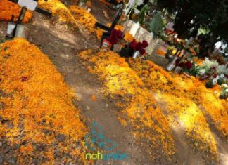 Gabriela Molina :No pisar las tumbas y pedir permiso para tomar fotografías, además de comportarse si van a ingerir bebidas alcohólicas