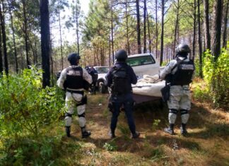 Durante operativo en Hidalgo, Guardia Civil asegura dos vehículos y arma larga