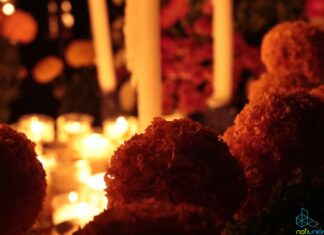 Hoteles de Pátzcuaro listos para recibir a turistas en Noche de Muertos