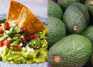 #Michoacán Peribán buscará Récord Guinness del guacamole más grande del mundo