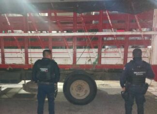 Asegura SSP vehículo cargado con aguacate, aparentemente ilegal