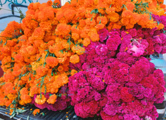 Hasta en cien pesos los ramos de cempasúchil en panteones y calles de #Morelia