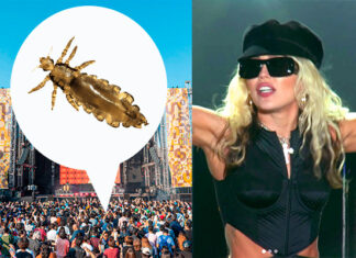 Epidemia de piojos en el festival Corona Capital durante concierto de Miley Cyrus
