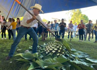Ya comenzó el Festival de Mezcal Etúcuaro 2022