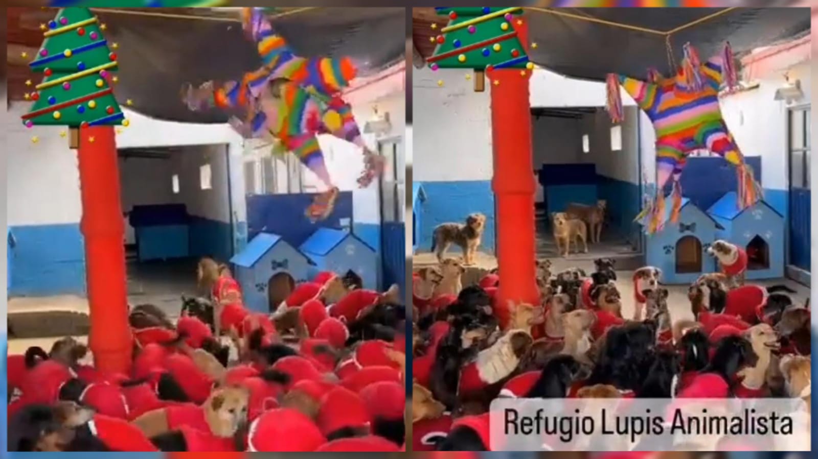 WhatsApp Image 2022-12-22 at 1.55.32 PM