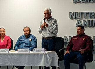 Se mantiene Michoacán en los primeros lugares producción porcina: Sader