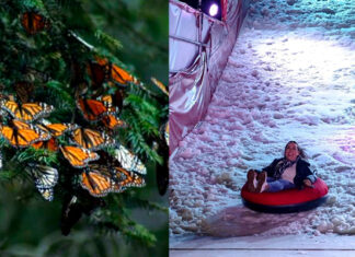 Atractivos para disfrutar este fin de semana en Michoacán