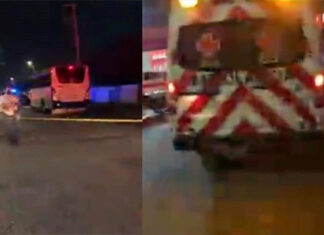 Peregrino de tan solo 5 años de edad muere tras sacar su cabeza en autobús