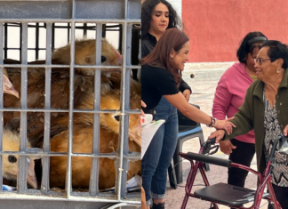 Entrega Sader 194 paquetes para hortalizas a familias de Churitzio