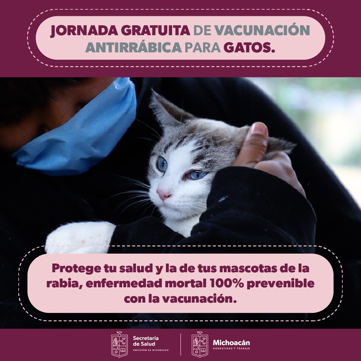 WhatsApp Image 2023-01-13 at 12.19.22