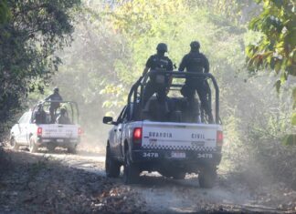 Tras operativos en Coahuayana, SSP y FGE inhabilitan 2 campamentos ilícitos