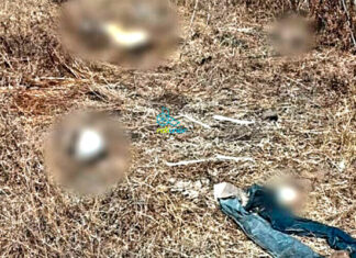 Descubren cráneo humano en un cerro de La Tenencia de La Planta en Jacona