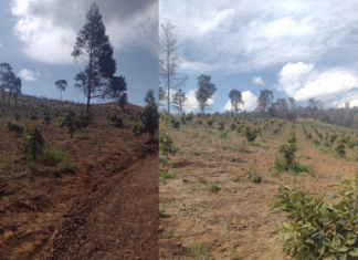 En cateo, asegura Fiscalía General predio relacionado en delitos Contra el Ambiente
