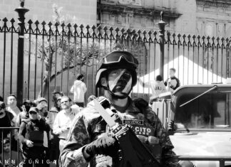 19 de febrero: un día para reconocer el papel fundamental del Ejército en México