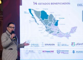 Regularizados más de 1 millón 100 mil vehículos en 14 entidades: SSPC