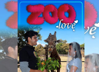 Este 14 de febrero podrás casarte y que tus testigos sean las jirafas del Zoológico de Morelia