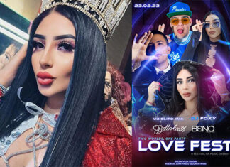 Una gatita que le gusta el mambo llega a Morelia