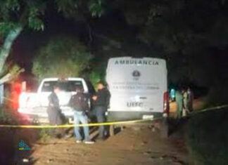 Asesinan a balazos al líder de Bienes Comunales de la Comunidad Indígena de Zicuicho en Los Reyes