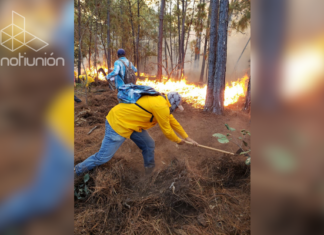 Michoacán busca a los responsables de los incendios forestales intencionales