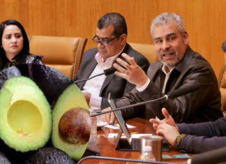 Gobernador de Michoacán e IMSS pretenden asegurar a cortadores de aguacate y mejorar su calidad en servicios de salud