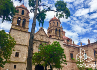 Denuncian en redes sociales el abandono de jardines en biblioteca pública de Morelia
