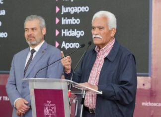 Entregará Michoacán más de 40 mil toneladas de fertilizante gratuito: Sader