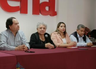 Ana Lilia Guillén asistirá este 18 de marzo al Zócalo con AMLO