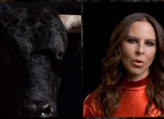 Kate del Castillo se pronuncia en contra de la Tauromaquia en redes sociales