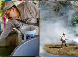 SSM realiza acciones para controlar el dengue en Michoacán