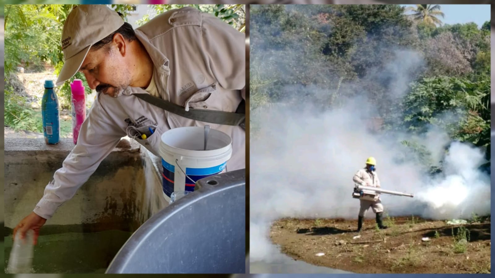 WhatsApp Image 2023-03-26 at 12.48.47 PM