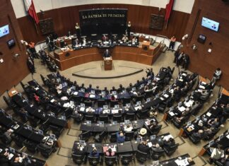 Senadores veloces aprueban 20 reformas en menos de lo que canta un gallo, y no me venga con que la ley es la ley