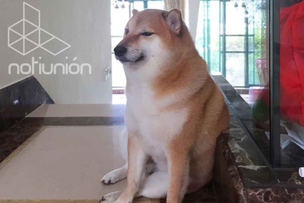 600 x 400 plantilla notiunion (22)