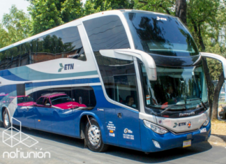 Viaja con tu lomito o michi en ETN