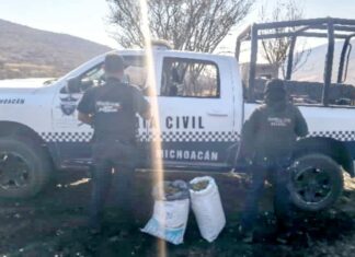 Policía decomisa dos costales con 9 kilos de marihuana en una brecha de Tangamandapio