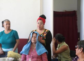 Bienestar para Mujeres: Capacitación en Medicina Tradicional en Jungapeo, Michoacán