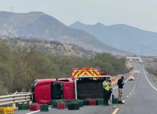 Camioneta con cajas de aguacate se voltea en la Siglo XXI