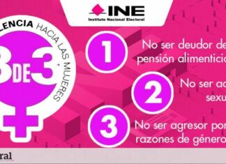 Aprueban Ley 3 de 3: Aquellos que hayan ejercido violencia o sean deudores alimentarios no podrán obtener cargos públicos.