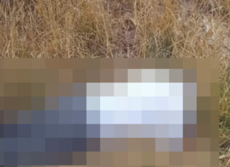 Cuerpo sin vida en Cuitzillo Chico, era un trabajador de seguridad privada