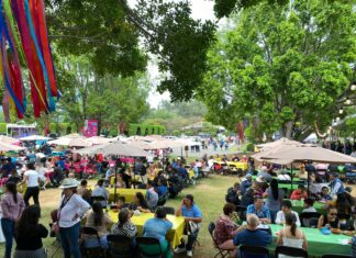 Festival Michoacán de Origen: Un escaparate artístico, cultural y gastronómico para los estudiantes.