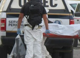 Hallan cuerpo de policía en activo en la cajuela de un vehículo abandonado en Álvaro Obregón