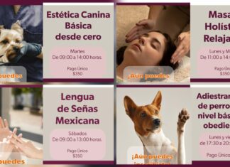 Icatmi ofrece cuatro nuevos cursos de capacitación en Morelia