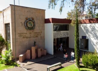 Investigación de la UMSNH busca determinar prevalencia de enfermedad renal crónica en Michoacán.